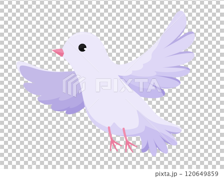 一隻白鴿用魔術飛出去的插圖 120649859