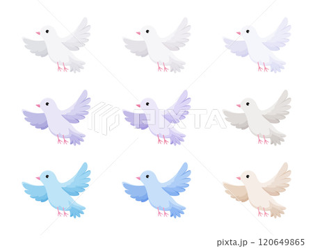 手品で飛び出す鳩のイラスト 手品で飛び出す鳩のイラスト 120649865
