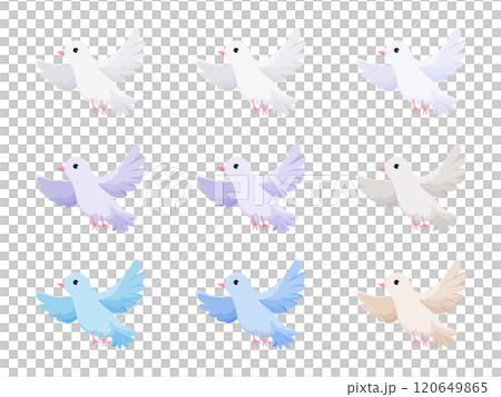 手品で飛び出す鳩のイラスト 手品で飛び出す鳩のイラスト 120649865