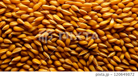 Wheat grains, flour, bakery background - AI generated image 120649872