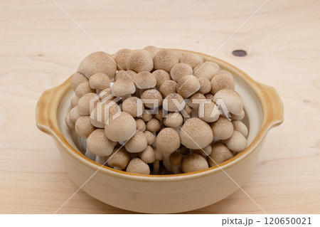 きのこ鍋　土鍋に入ったしめじ 120650021