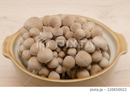 きのこ鍋　土鍋に入ったしめじ 120650022