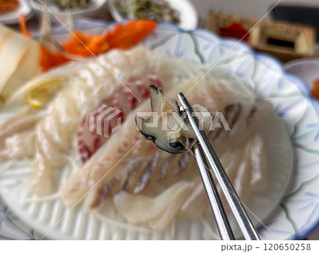 Korean seafood. fresh abalone sashimi Korean seafood. fresh abalone sashimi 120650258