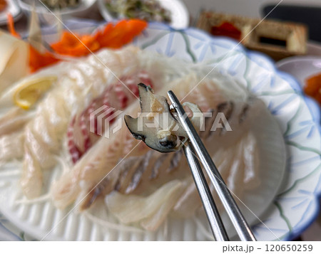 Korean seafood. fresh abalone sashimi Korean seafood. fresh abalone sashimi 120650259