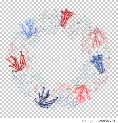 watercolor undersea pink, blue corals, plants, water bubbles wreath isolated on white. Lagoon underwater colored polyps illustration with copy space for text. For package decor, greeting cards watercolor undersea pink, blue corals, plants, water bubbles wreath isolated on white. Lagoon underwater colored polyps illustration with copy space for text. For package decor, greeting cards 120650314