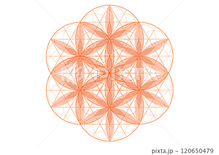 Flower of life, sacred geometry. lotus flower. mandala ornament Seed of Life icon, esoteric or spiritual symbol. Logo line art design isolated on white background, vector illustration 120650479