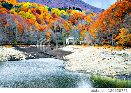 Colorful trees and leaves in autumn in the Montseny Natural Park in Barcelona, Spain Colorful trees and leaves in autumn in the Montseny Natural Park in Barcelona, Spain 120650771