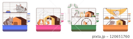 Illustration of a set of cages with hamsters, rats, chinchillas and guinea pigs. Illustration of a set of cages with hamsters, rats, chinchillas and guinea pigs. 120651760