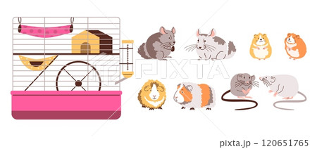 Set of pets rodents. Set of pets rodents. 120651765