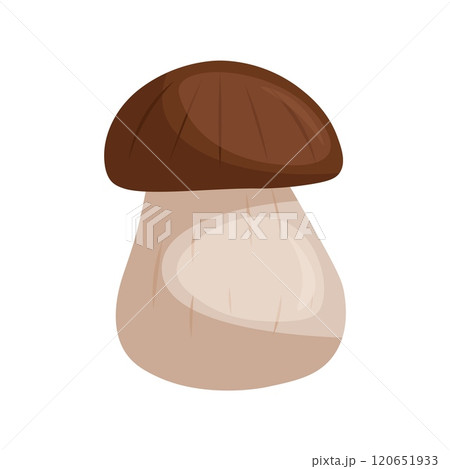 White mushroom on white background vector illustration 120651933