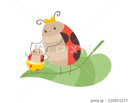 Happy Ladybug Family, Mother Ladybug and Her Baby Sitting on Green Leaf, Cute Cartoon Flying Insects Characters Vector Illustration 120653227