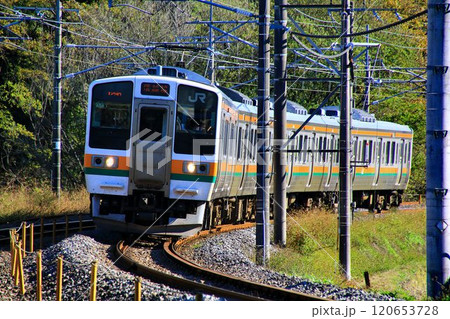秋の信越線を力走する… 211系電車 秋の信越線を力走する… 211系電車 120653728