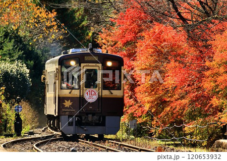 錦秋の鉄路…  わたらせ渓谷鐵道・沢入駅 120653932