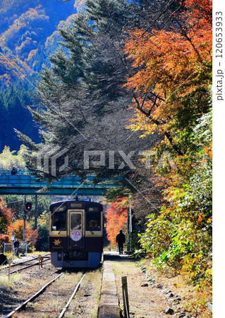 錦秋の鉄路…  わたらせ渓谷鐵道・沢入駅 120653933