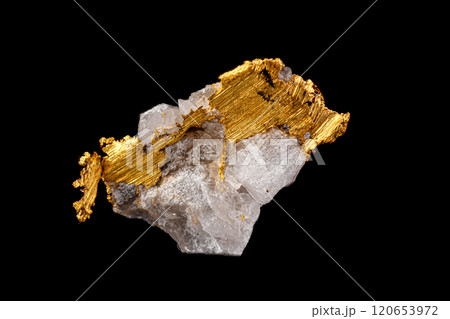 macro mineral stone gold in the rock on a black background 120653972
