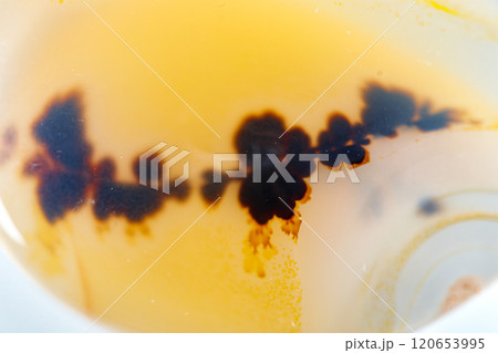 macro mineral stone Agata muschiata on a white background 120653995