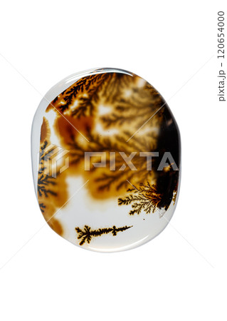 macro mineral stone Agata muschiata on a white background 120654000