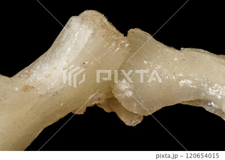 Macro of a stone Stilbite mineral on a black background 120654015