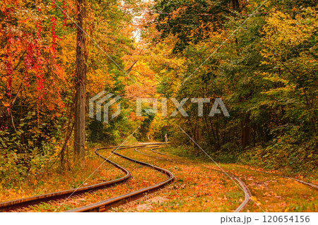 Autumn forest through which an old tram rides (Ukraine) Autumn forest through which an old tram rides (Ukraine) 120654156