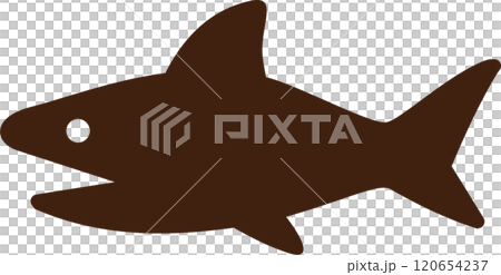 サメ 120654237