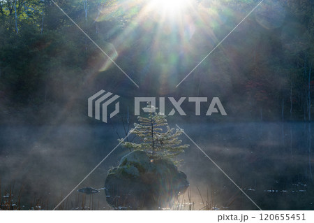 輝く光芒 輝く光芒 120655451