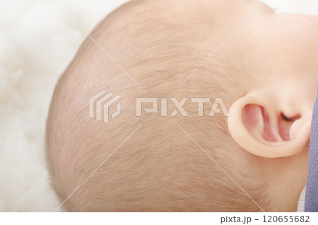 産まれたてのかわいい赤ちゃんの頭 産まれたてのかわいい赤ちゃんの頭 120655682