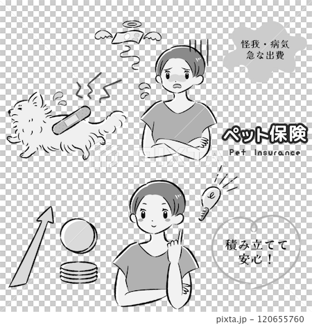一隻受傷的狗及其難以支付治療費用的女主人的插圖集 120655760
