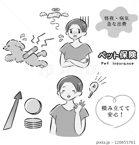 怪我をした犬と治療費に困る飼い主の女性のイラストセット 怪我をした犬と治療費に困る飼い主の女性のイラストセット 120655761