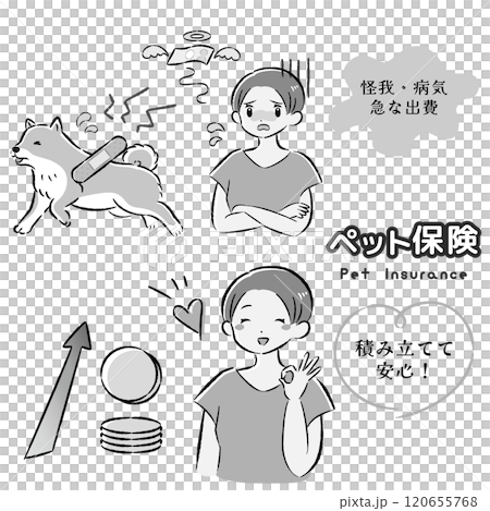 Illustration set of an injured dog and a female owner struggling with medical expenses Illustration set of an injured dog and a female owner struggling with medical expenses 120655768