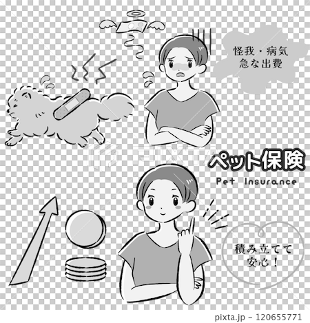 一隻受傷的狗及其難以支付治療費用的女主人的插圖集 120655771