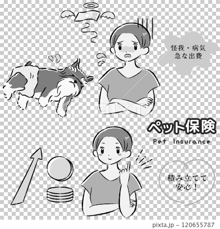犬のペット保険のイメージと飼い主の女性のイラストセット 120655787