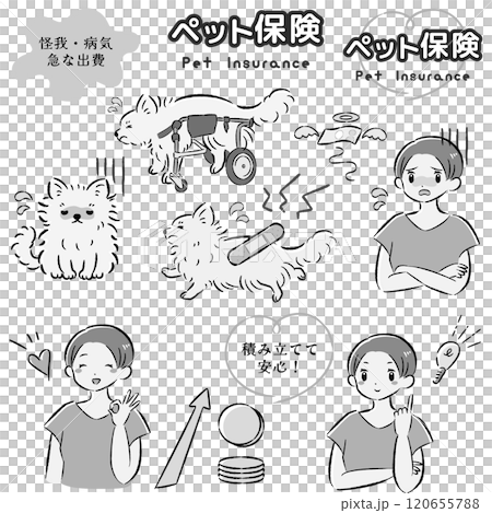 犬のペット保険のイメージと飼い主の女性のイラストセット 120655788