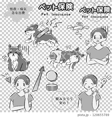 Illustration set of dog pet insurance image and female owner 120655789