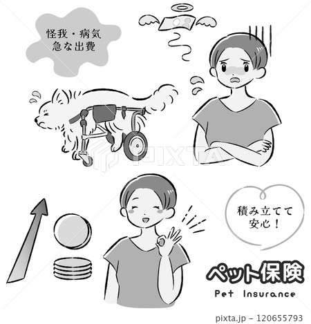 犬のペット保険のイメージと飼い主の女性のイラストセット 120655793