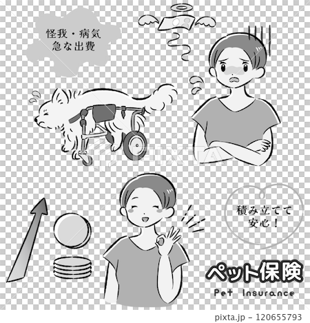 犬のペット保険のイメージと飼い主の女性のイラストセット 120655793