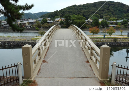 宇治川の中州橘島に架かる橘橋（京都府宇治市） 120655801