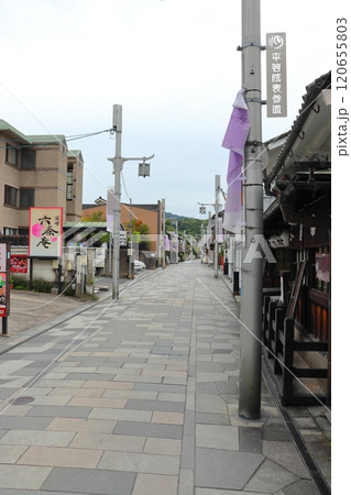 早朝の閑静な平等院表参道(京都府宇治市) 早朝の閑静な平等院表参道(京都府宇治市) 120655803