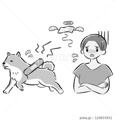 怪我をした犬と心配する飼い主の女性のイラストセット 120655851