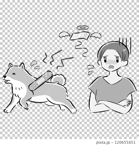 Illustration set of an injured dog and a worried female owner 120655851