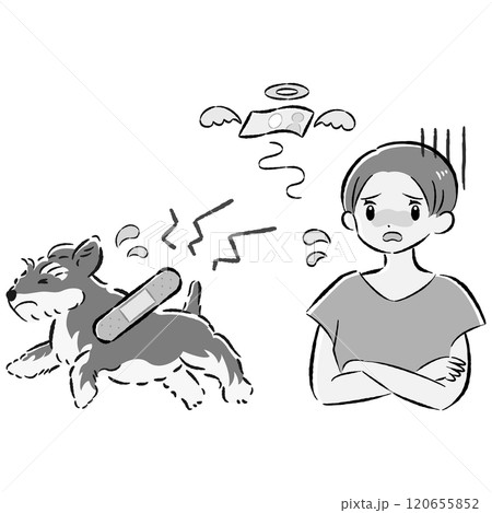 怪我をした犬と心配する飼い主の女性のイラストセット 120655852