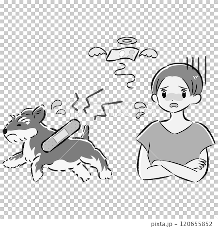 Illustration set of an injured dog and a worried female owner 120655852