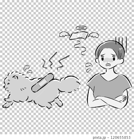 Illustration set of an injured dog and a worried female owner 120655853