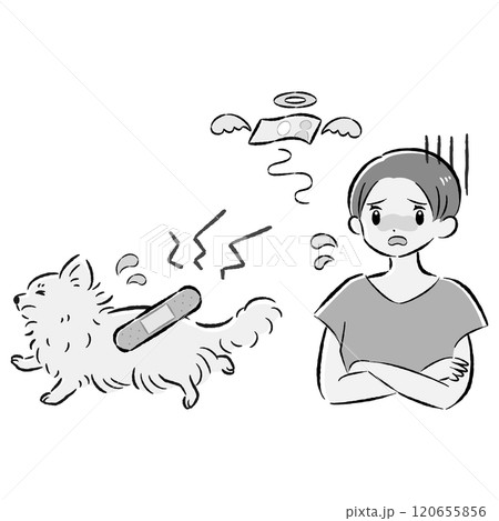 怪我をした犬と心配する飼い主の女性のイラストセット 120655856