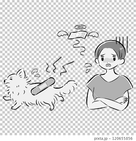 怪我をした犬と心配する飼い主の女性のイラストセット 120655856