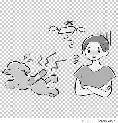 怪我をした犬と心配する飼い主の女性のイラストセット 120655857
