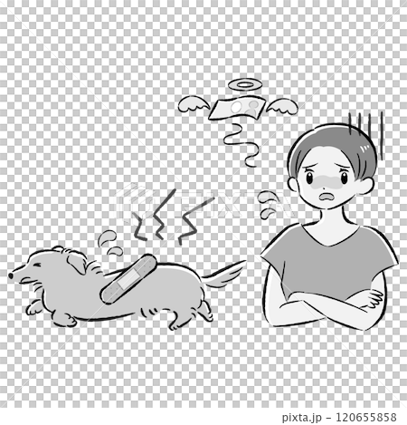 一隻受傷的狗和一位憂心忡忡的女主人的插圖集 一隻受傷的狗和一位憂心忡忡的女主人的插圖集 120655858