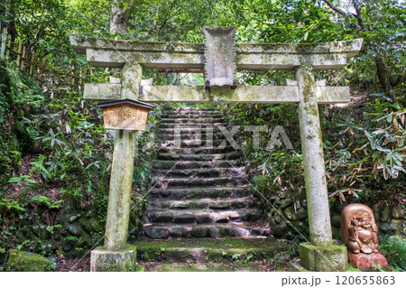 高尾山　蛇滝コース（じゃたきコース）　登山道沿い　千代田稲荷神社 120655863