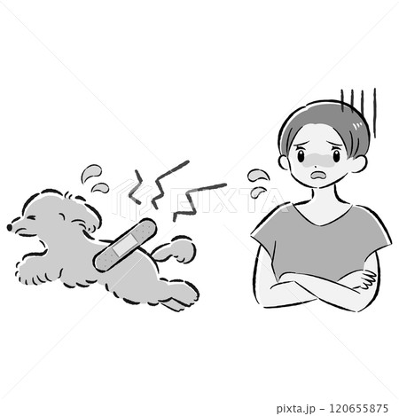 怪我をした犬と心配する飼い主の女性のイラストセット 120655875