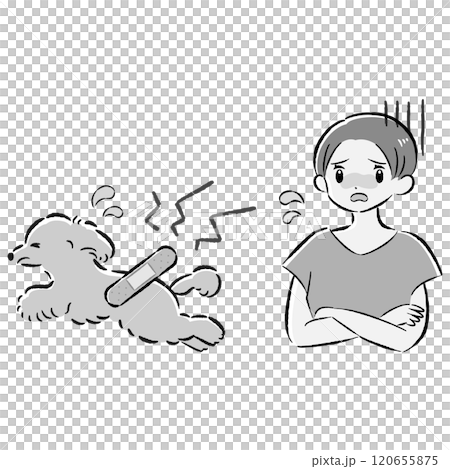 怪我をした犬と心配する飼い主の女性のイラストセット 120655875
