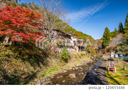 晩秋の鞍馬川風景　京都市 120655886